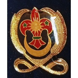 ASIE / MALAISIE : Paire de fourreaux d'épaules de Commissaire Adjoint de Secteur - Malaysian Scouts Association