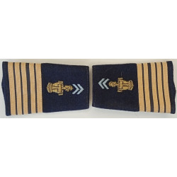 Paire de fourreaux d'épaule de Colonel Transmissions
