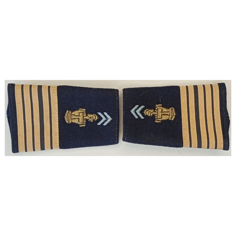 Paire de fourreaux d'épaule de Colonel Transmissions