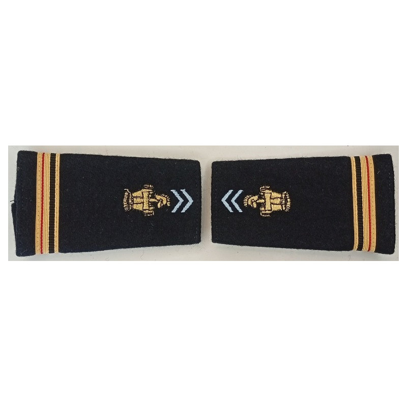Paire de fourreaux d'épaule de Major Transmissions