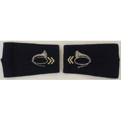 Paire de fourreaux d'épaule de 2ème Classe Chasseurs