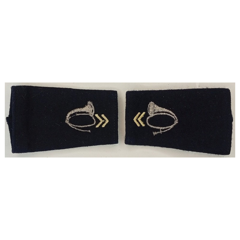Paire de fourreaux d'épaule de 2ème Classe Chasseurs