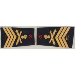 Paire de fourreaux d'épaule Maréchal-des-Logis chef + 10 ans du 8ème Régiment d'Artillerie