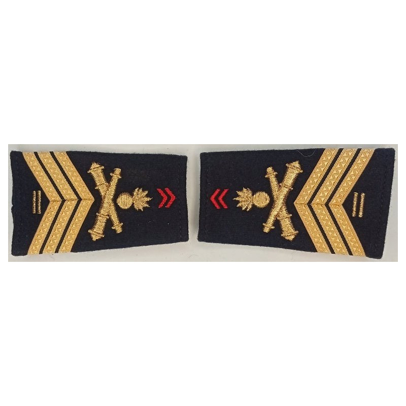 Paire de fourreaux d'épaule Maréchal-des-Logis chef + 10 ans du 8ème Régiment d'Artillerie Paire de fourreaux d'épaule Maréchal-des-Logis chef + 10 ans du 8ème Régiment d'Artillerie