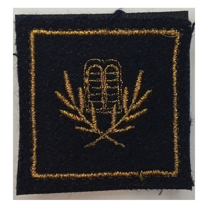 Grade de poitrine Sous-Lieutenant Aumônier Militaire Auxiliaire Israélite