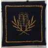 Grade de poitrine Sous-Lieutenant Aumônier Militaire Auxiliaire Israélite