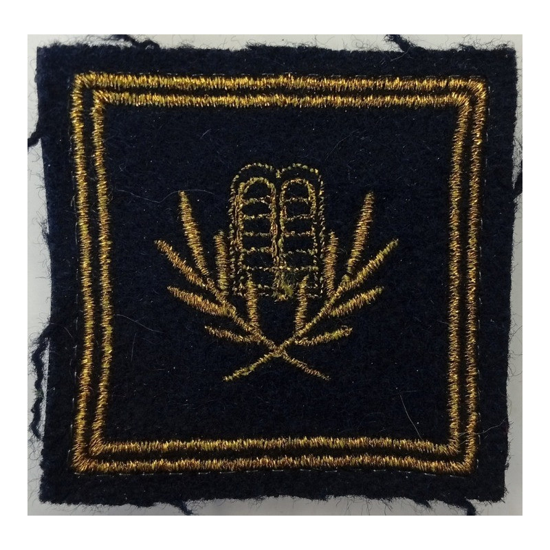 Grade de poitrine Lieutenant Aumônier Militaire de 2ème Classe Israélite