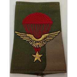 Fourreau d'épaule de la 2ème Compagnie du 1er Régiment de Chasseurs Parachutistes (1)
