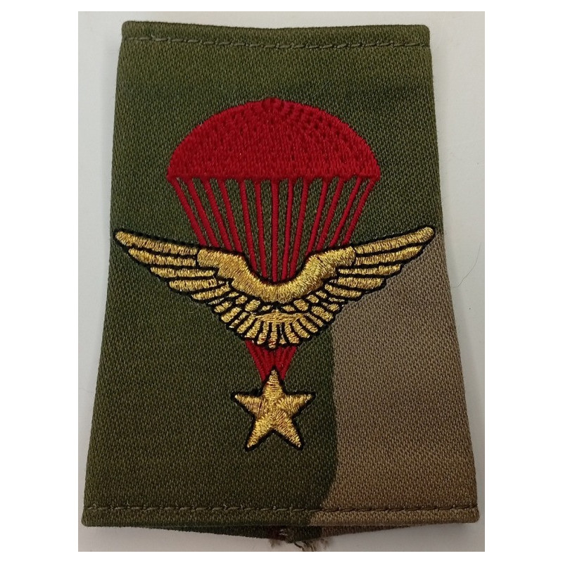 Fourreau d'épaule de la 2ème Compagnie du 1er Régiment de Chasseurs Parachutistes (1)
