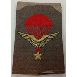 Fourreau d'épaule de la 2ème Compagnie du 1er Régiment de Chasseurs Parachutistes (2)