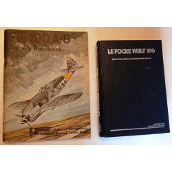Ensemble d'Artefacts du Crash d'un Avion de Chasse Focke-Wulf 190 A8 - Aviation Allemande WW2