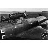 Ensemble d'Artefacts du Crash d'un Avion de Chasse Focke-Wulf 190 A8 - Aviation Allemande WW2