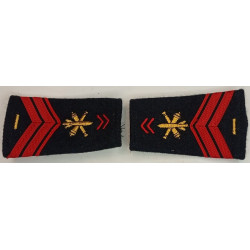 Paire de fourreaux d'épaule de Brigadier EVAT Artillerie + 5 Ans