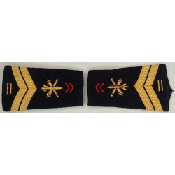 Paire de fourreaux d'épaule de Maréchal-des-logis de Carrière Artillerie + 10 Ans