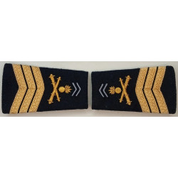 Paire de fourreaux d'épaule de Maréchal-des-logis Chef du 1er Régiment d'Artillerie