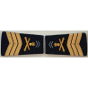 Paire de fourreaux d'épaule de Maréchal-des-logis Chef du 1er Régiment d'Artillerie