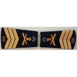 Paire de fourreaux d'épaule de Maréchal-des-logis Chef du 1er Régiment d'Artillerie + 20 Ans