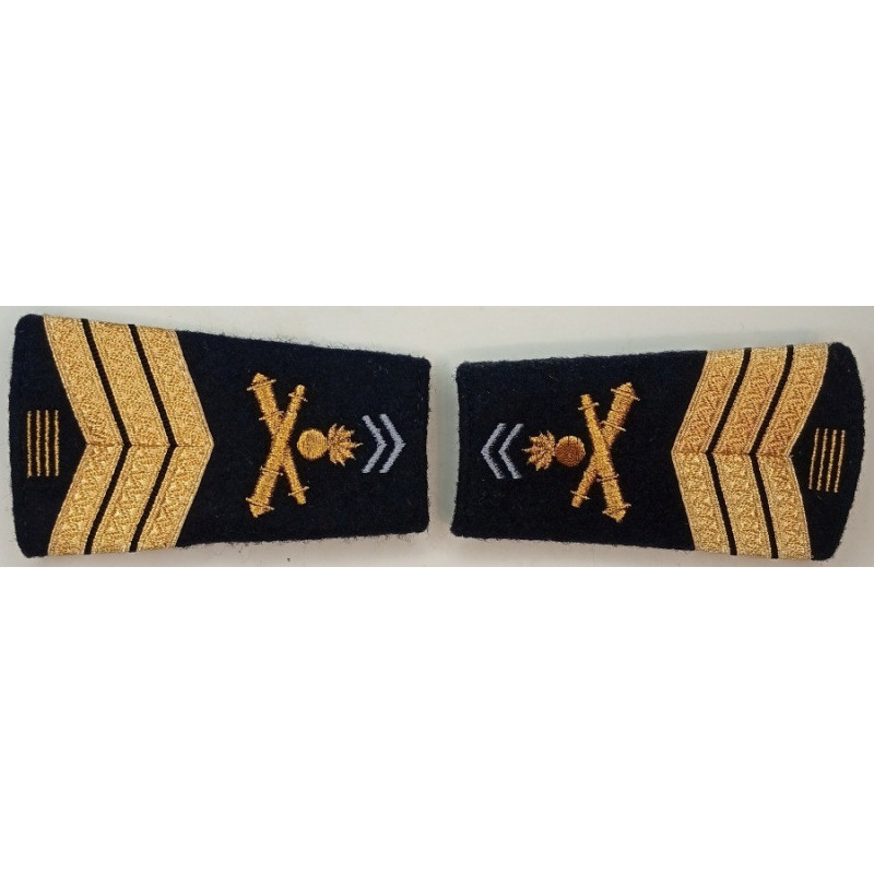 Paire de fourreaux d'épaule de Maréchal-des-logis Chef du 1er Régiment d'Artillerie + 20 Ans Paire de fourreaux d'épaule de Maréchal-des-logis Chef du 1er Régiment d'Artillerie + 20 Ans