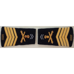 Paire de fourreaux d'épaule de Maréchal-des-logis Chef de 1ère Classe du 1er Régiment d'Artillerie + 15 Ans