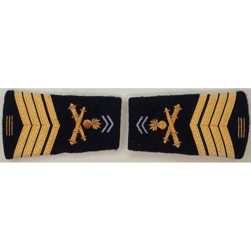Paire de fourreaux d'épaule de Maréchal-des-logis Chef de 1ère Classe du 1er Régiment d'Artillerie + 15 Ans