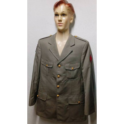 Vareuse TDF Artillerie + Insigne "19ème Brigade d'Artillerie" + Nouveau Losange du 1er R.A. sous-officier/officier NEUVE