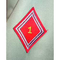 Vareuse TDF Artillerie + Insigne "19ème Brigade d'Artillerie" + Nouveau Losange du 1er R.A. sous-officier/officier NEUVE