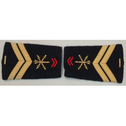 Paire de fourreaux d'épaule de Maréchal-des-Logis de Carrière Artillerie + 5 ans