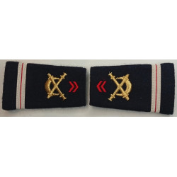 Paire de fourreaux d'épaule d'Adjudant du 40ème Régiment d'Artillerie