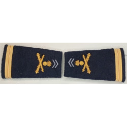 Paire de fourreaux d'épaule d'Adjudant-Chef du 1er Régiment d'Artillerie