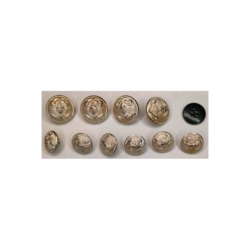 Jeu de boutons complet pour Vareuse de TDF Arme Blindée Cavalerie