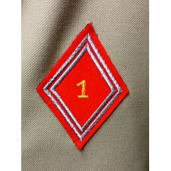 Vareuse TDF Artillerie + Insigne 1ère Div. Blindée + Nouveau Losange 1er R.A. + Bouton de Tradition sous-off./officier NEUVE