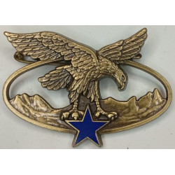 Brevet de Spécialité Troupes de Montagnes (D.N.M.l.V.)