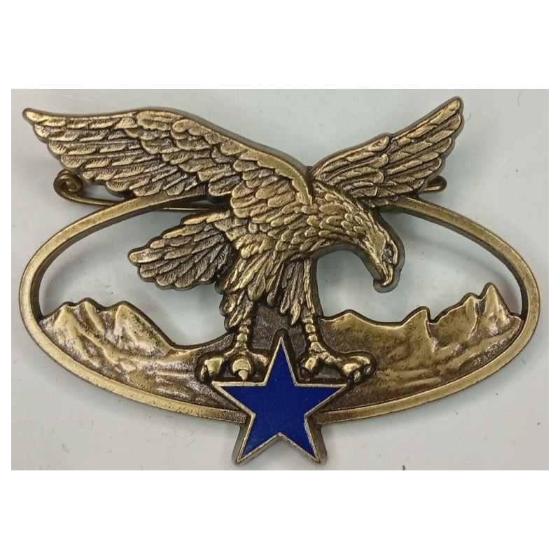 Brevet de Spécialité Troupes de Montagnes (D.N.M.l.V.)