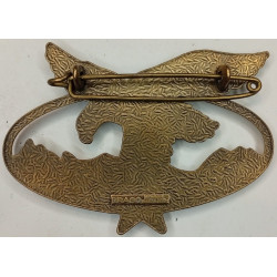 Brevet de Spécialité Troupes de Montagnes (D.N.M.l.V.)