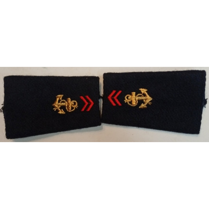Paire de fourreaux d'épaule de 2ème Classe Troupes de Marine
