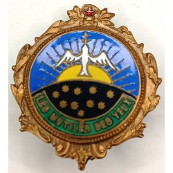 Insigne de l'Association des Mutilés des Yeux - Boutonnière en émail / Guerre 14/18