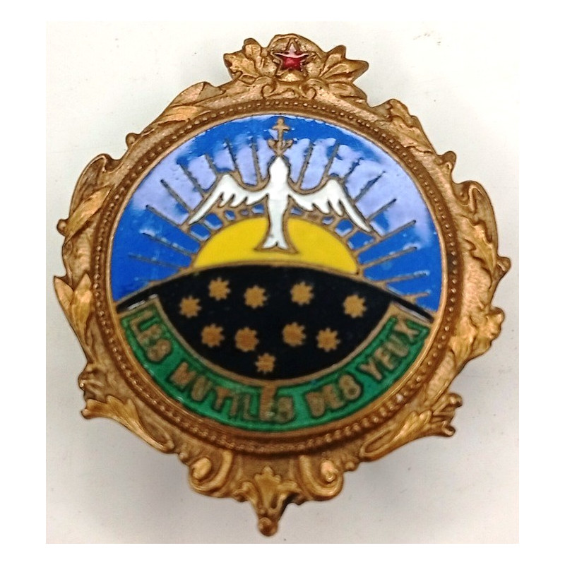 Insigne de l'Association des Mutilés des Yeux - Boutonnière en émail / Guerre 14/18