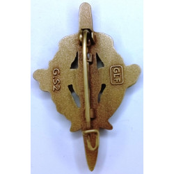 Brevet Préparation Militaire Elémentaire Bronze (GLF)