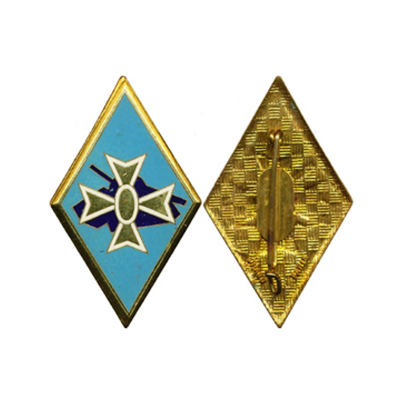 1ère Division Blindée (Dra)