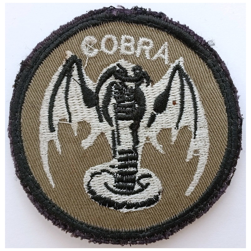 Ecusson des Batteries COBRA du 1er Régiment d'Artillerie (4)