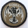 Ecusson des Batteries COBRA du 1er Régiment d'Artillerie (4)