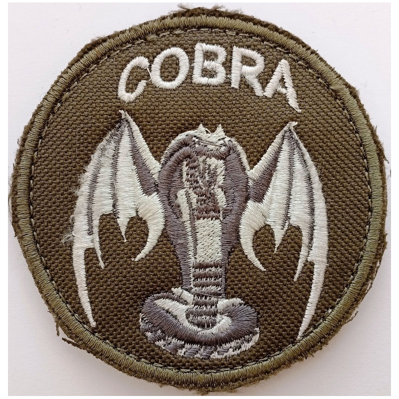 Ecusson des Batteries COBRA du 1er Régiment d'Artillerie (5)