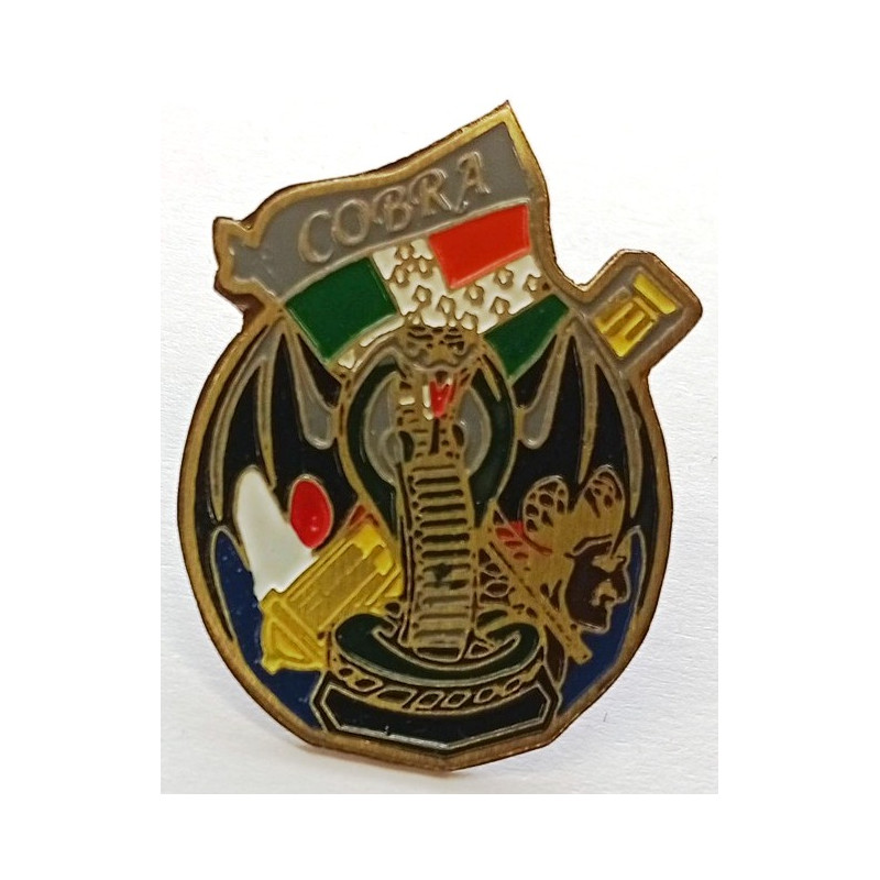 Réduction Pin's de Calot de l'insigne du 1er régiment d'Artillerie - 6ème Batterie (S)