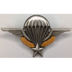 Brevet Parachutiste (Del) - Finition mate