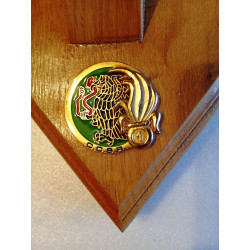 Support de fanion mural de la Compagnie de Commandement et de Service Régimentaire du 1er Régiment Etranger - Légion Etrangère