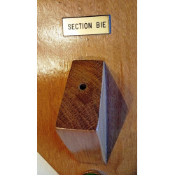 Support de fanion mural de la Compagnie de Commandement et de Service Régimentaire du 1er Régiment Etranger - Légion Etrangère