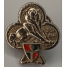 Réduction Pin's de l'Insigne du 35ème Régiment d'Infanterie (S) Finition brillante