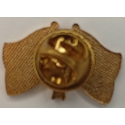 Pin's Drapeaux France & République Centrafricaine - Opérations Armée française