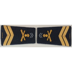 Paire de fourreaux d'épaule de Maréchal-des-logis du 1er Régiment d'Artillerie + 5 Ans