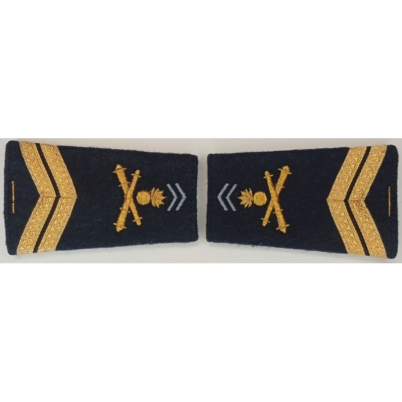 Paire de fourreaux d'épaule de Maréchal-des-logis du 1er Régiment d'Artillerie + 5 Ans